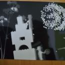fotogram 9