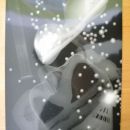 fotogram 10