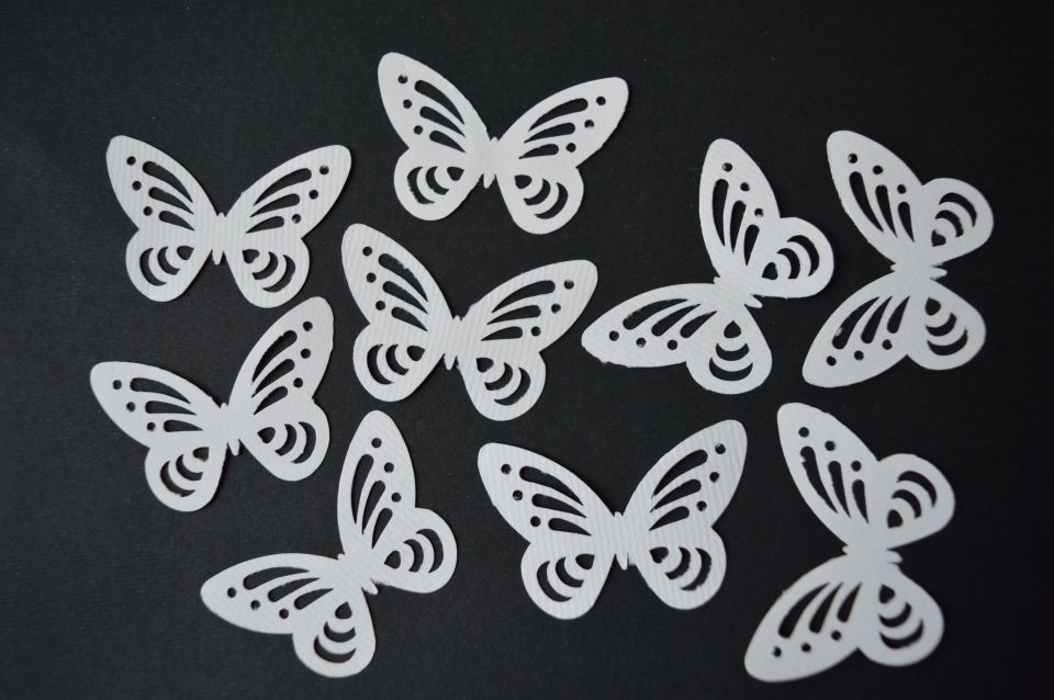 izsekanec bel metulj šeleshamer - 0,18 eur /  kom