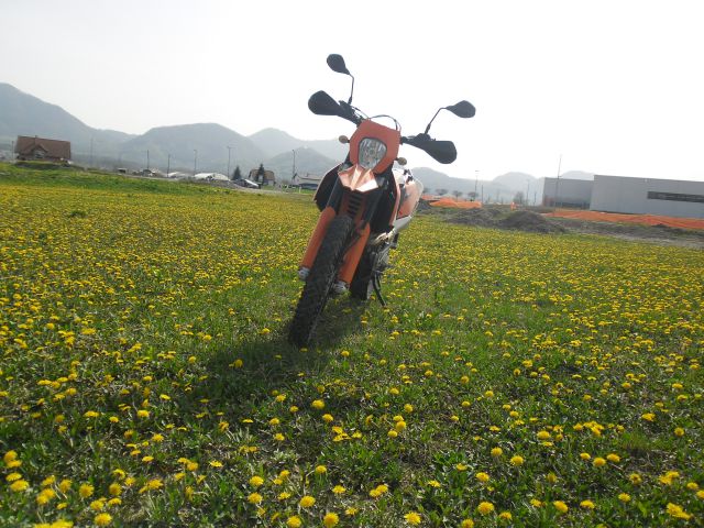 KTM 690 Enduro - foto