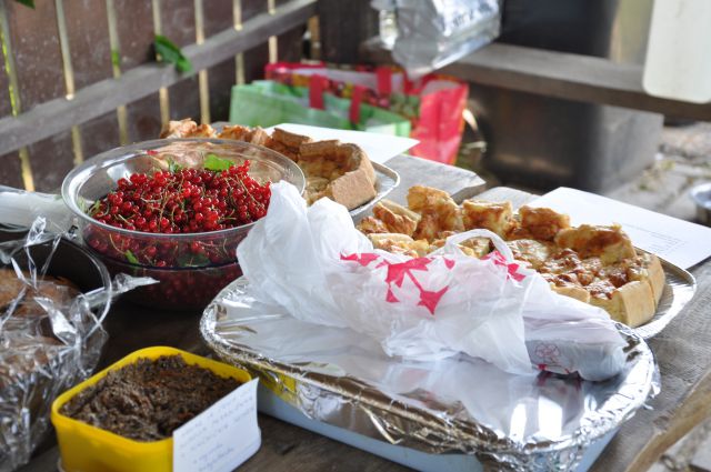 Piknik Azilašev 13.junij.2015 - foto