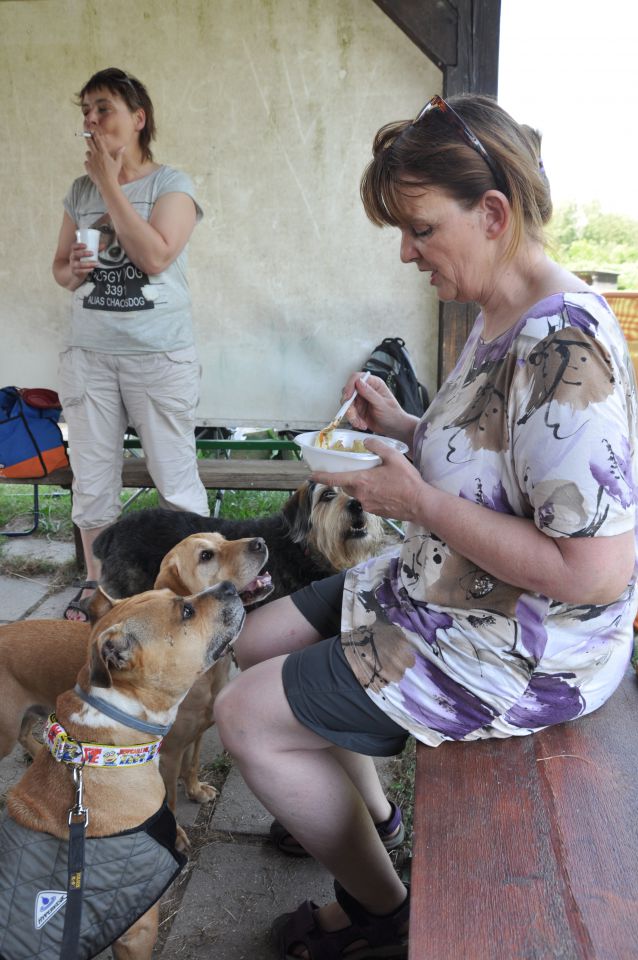 Piknik Azilašev 13.junij.2015 - foto povečava