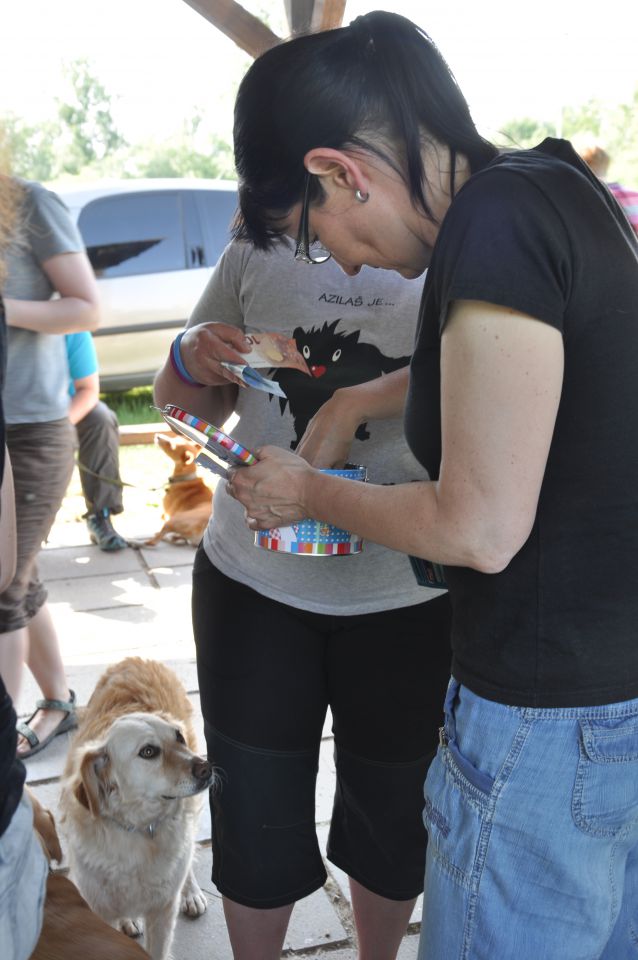 Piknik Azilašev 13.junij.2015 - foto povečava