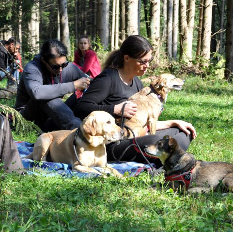 Vodni piknik azilašev 12.9.2015 - foto