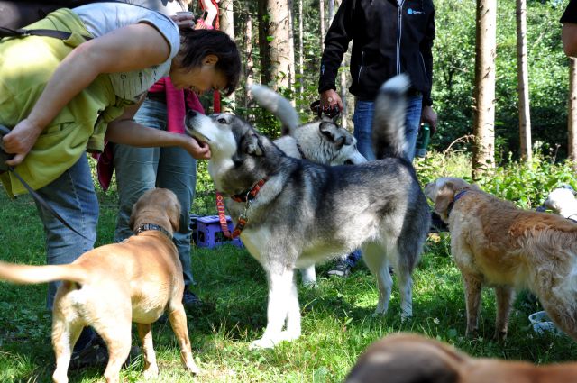 Vodni piknik azilašev 12.9.2015 - foto