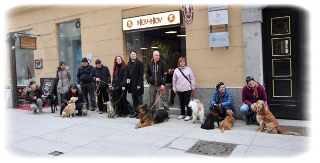 Azilaši na obisku v pasji pekarni :) - foto