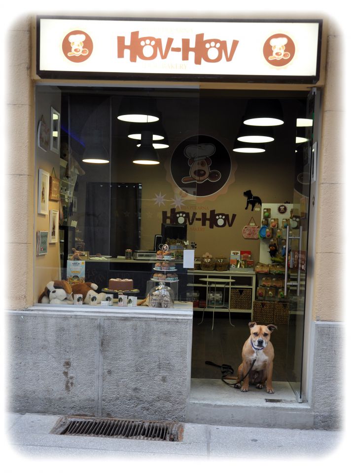 Azilaši na obisku v pasji pekarni :) - foto povečava