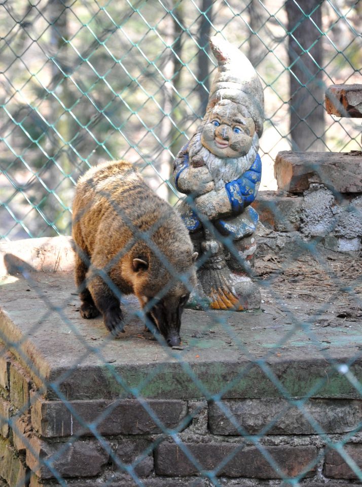 Azilaši na obisku v Zoo Parku Rožman :) - foto povečava