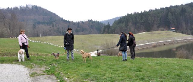 Azilaši na pohodu okoli Gradiškega jezera :) - foto