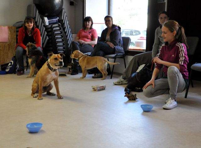 Azilaši v puppylandu :) - foto