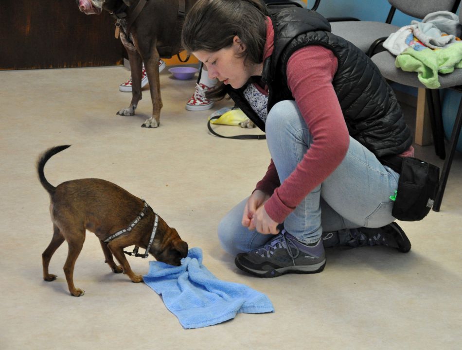 Azilaši v puppylandu :) - foto povečava