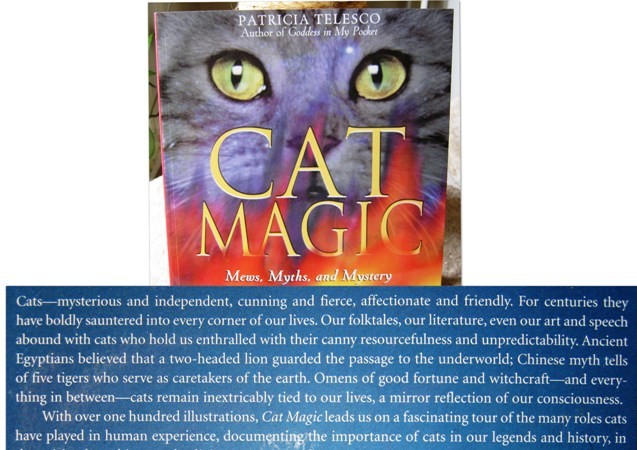 Mačje branje a- CAZ MAGIC, Patricia Telesco