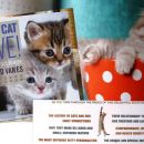 Mačje branje d - KITTY CYT LOVE