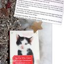 THE CAT WHO CAME BACK FOR CHRISTMAS, JUlia Romp