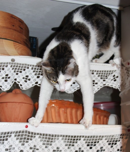Tinko&čmoka 6.obletnica - foto povečava
