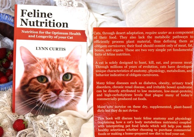 14a. FELINE NUTRITION, Lynn Curtis   IC = 4 eur