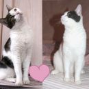 La Dona & Vigo, 2. obletnica