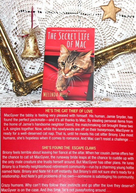 14c. THE SECRET LIFE OF MAC, Melinda Metz   IC = 4 eur