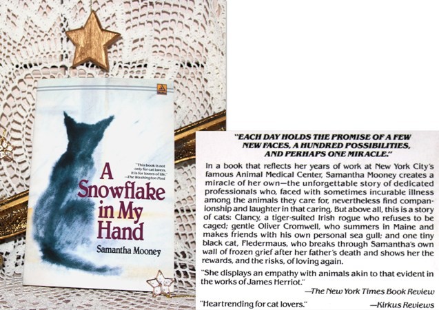 14d. A SNOWFLAKE IN MY HAND, Samantha Mooney   IC = 4 eur