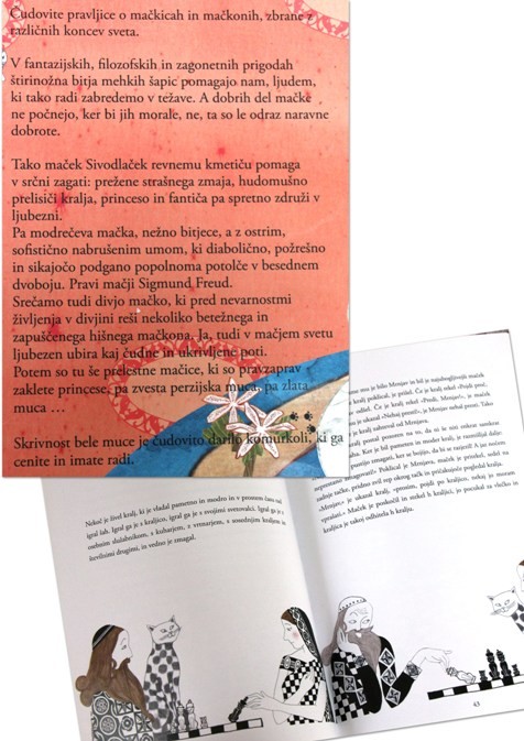 23d-1. Dodatna slika