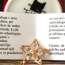 49. dodatna slika
