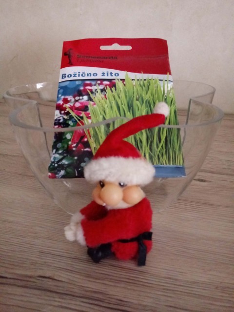 109. Božično žito in okrasna skleda   IC = 5 eur