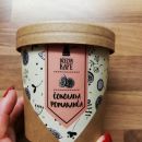 155. Kava s pomarančo in čokolado   ICa,b = 2 eur
