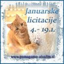 Licitacije januar 2020