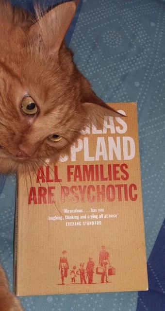 81. All families are psychotic