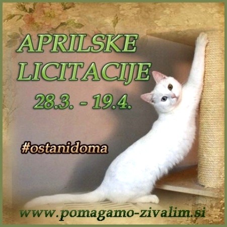 Glavna licitacijska tema