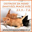 Glavna licitacijska tema