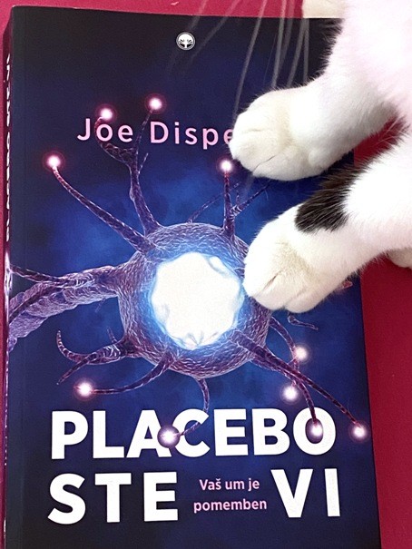 100. PLACEBO STE VI, Joe Dispenza    IC = 6 eur