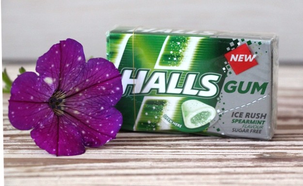 92. Halls gum in vrečka za sesalec S-bag Classic Long Performance  IC = 2 eur