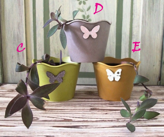 223c,d,e. Tradeskancija   IC = 3 eur