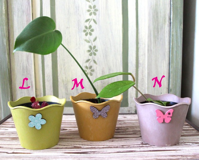 223l,m,n. Božični kaktus, monstera in voščenka   IC = 3 eur