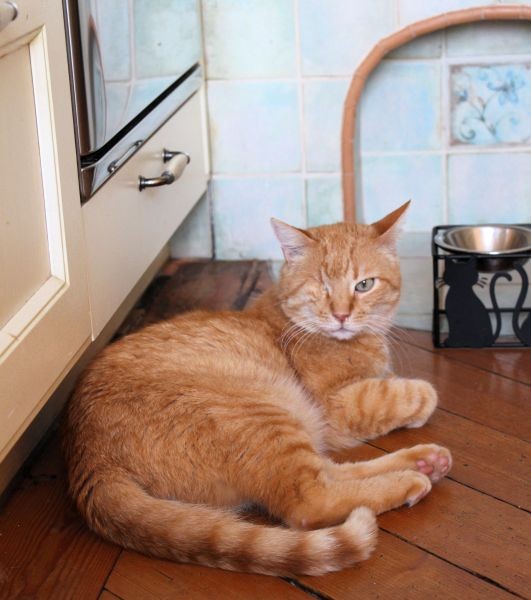 Tinko 13.rd - foto povečava