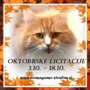 Glavna licitacijska tema