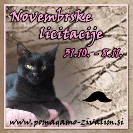 Glavna licitacijska tema