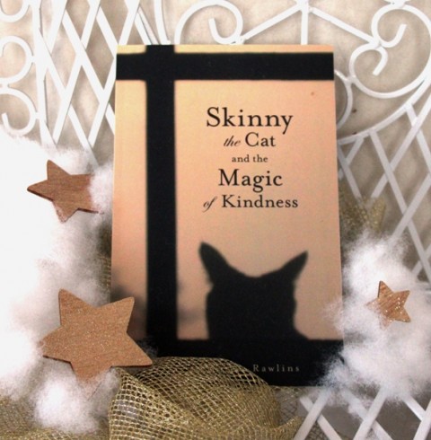 7d. Skinny the Cat and the Magic of Kindness   IC = 3 eur