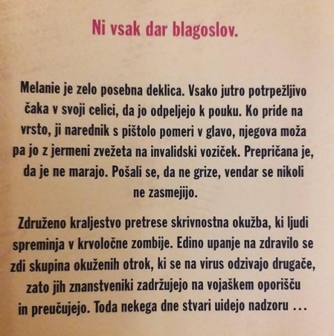 Slika