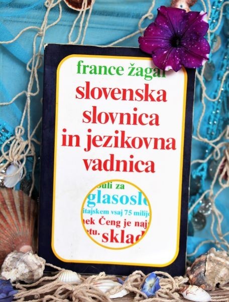 49. Slovenska slovnica in jezikovna vadnica  Cena: 2 eur ( + 2 eur poštnina )