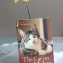 81. THE CAT ON MY LAP, mačje zgodbe v angleščini   IC = 5 eur