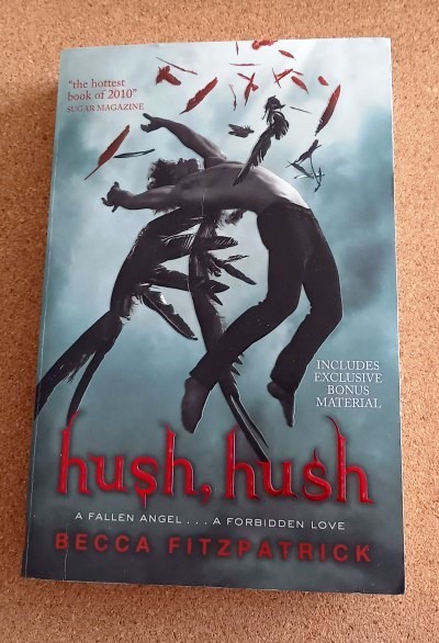 48.  Becca Fitzpatrick: Hush, hush   IC = 3 eur