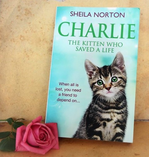 25. Charlie, Sheila Norton    IC = 4 eur