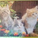 104e.  Puzzle muce    IC = 1 eur