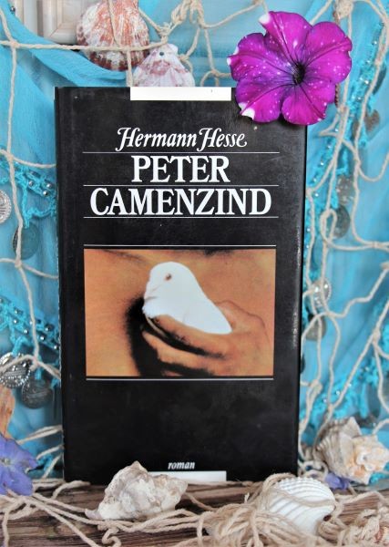12b. PETER CAMENZIND, Herman Hesse    IC = 2 eur
