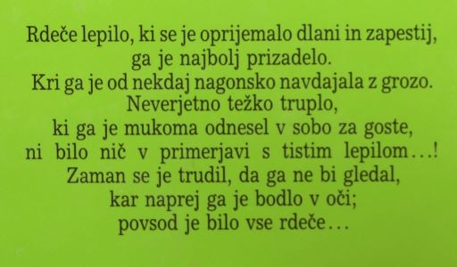 Slika