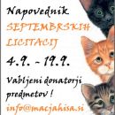Napovednik