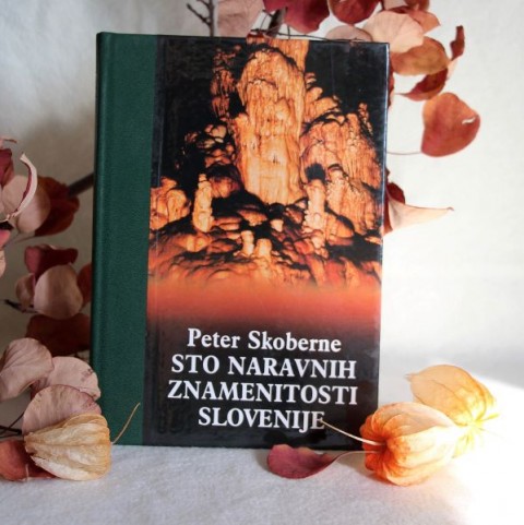Slika