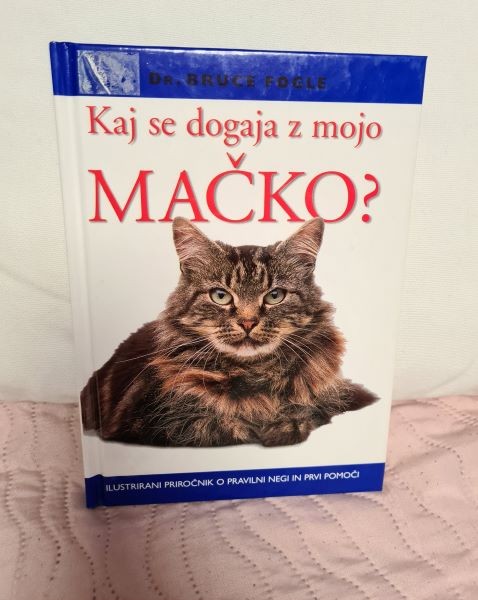 Slika